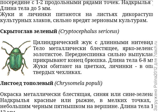 Или этот товарищ?