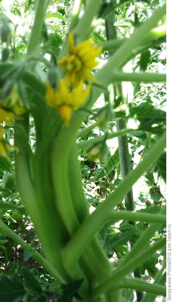 С другой стороны