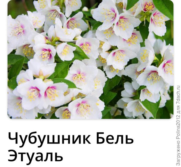 Должен быть таким