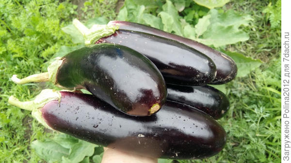 Вот такие поленья))