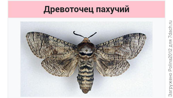И такие?
