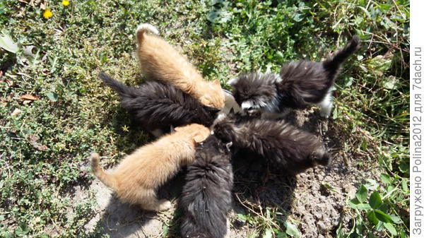 А мы большой компанией,возьмем да и припремся к Витасу))