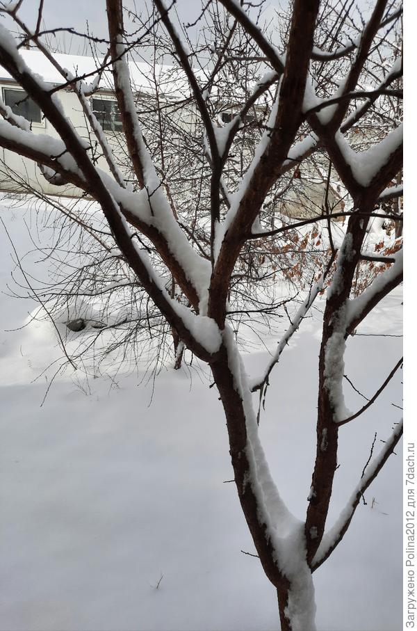 Это сегодня