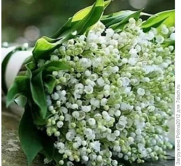 Татьяна,с днем рождения!