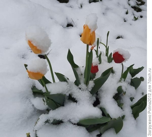 У меня сегодня только такой букетик))