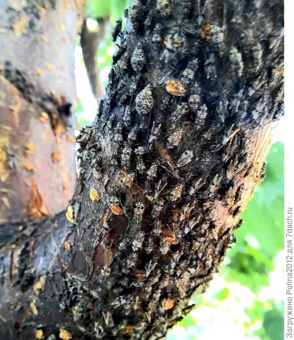 А было вот так