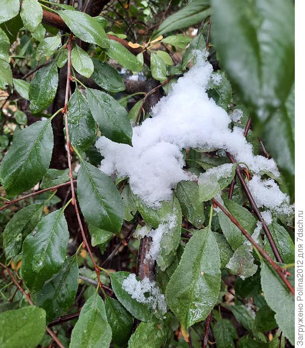 А деревья не успели сменить наряд