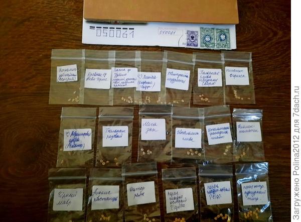 Семена от Кати♡