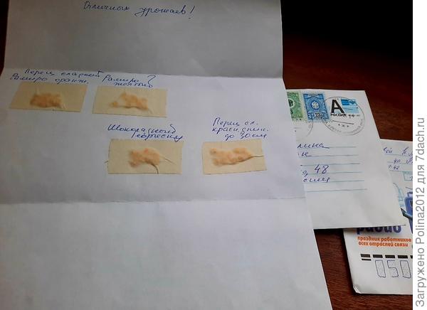 Шикарные перцы-моя мечта от Анны♡