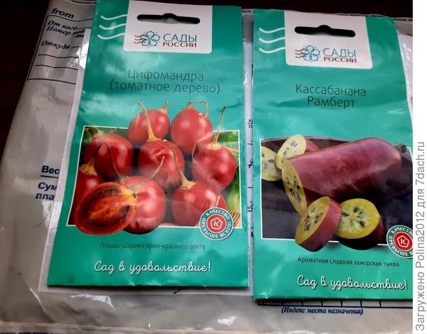 Семена кассабананы и цифомандры от Максима♡