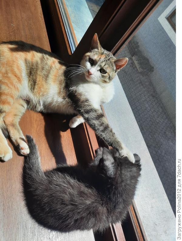 Слышишь, лето пришло!