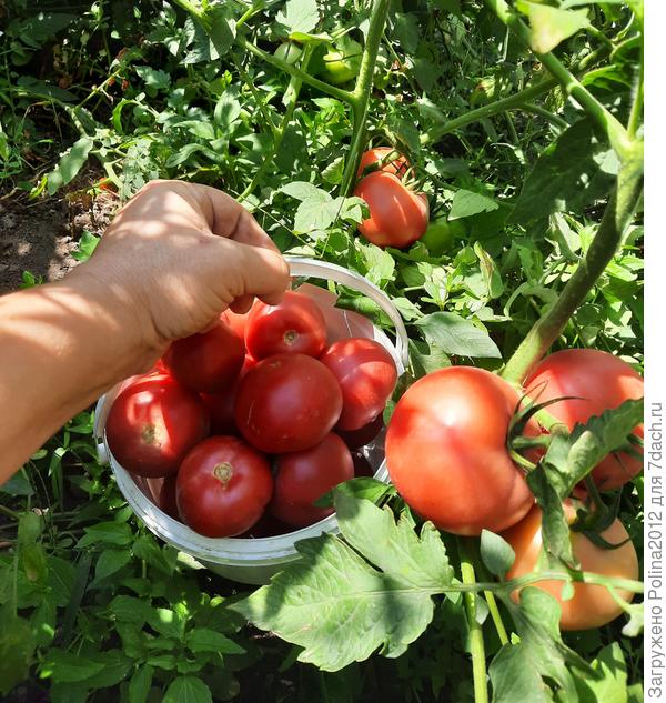 Йетина мать))