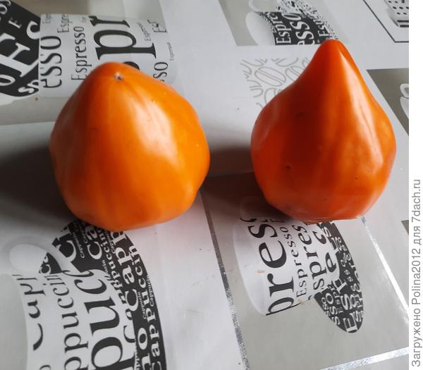 Ночная свеча