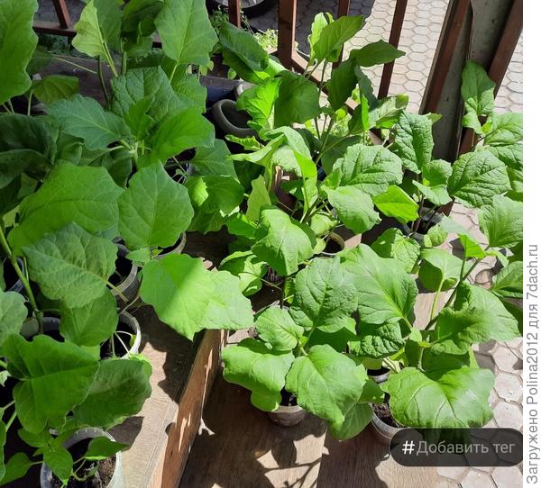 Это 3 мая 2023 год