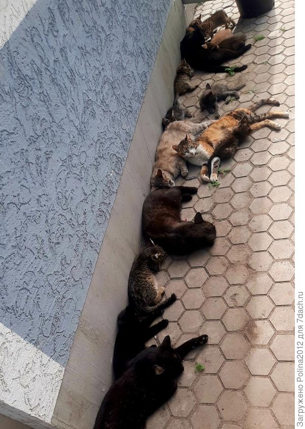 А это весной🫣