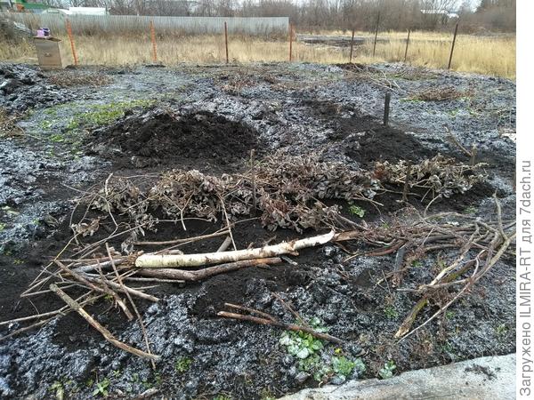 в таком виде наш участок ушел в зиму