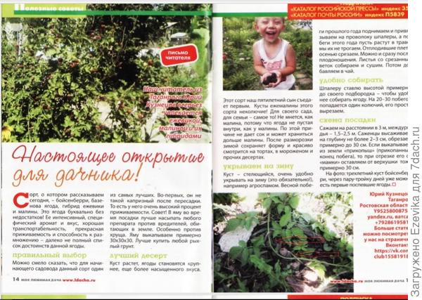 ягода без недостатков