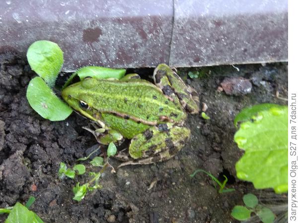 Как её зовут?