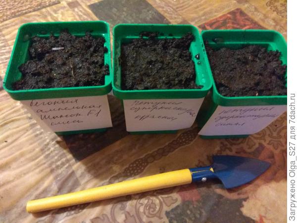 Расти, расти, цветочек, большой и сильный. :)