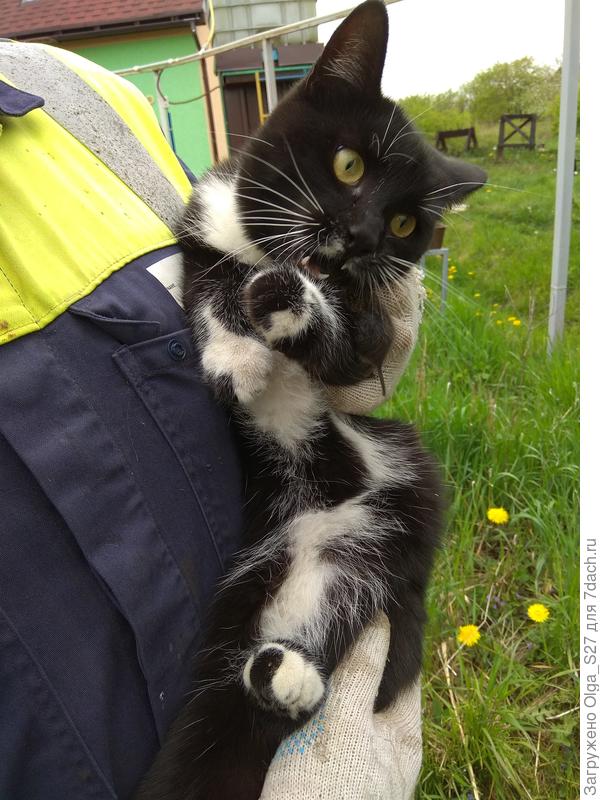 Вкусную мышку никому не отдадим.