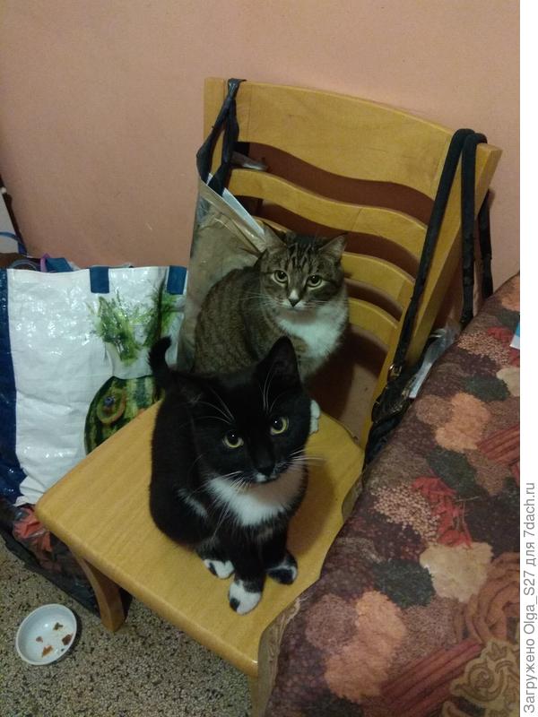 Хочется вкусненького.