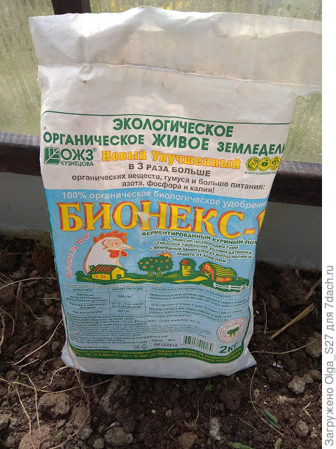 Бионекс