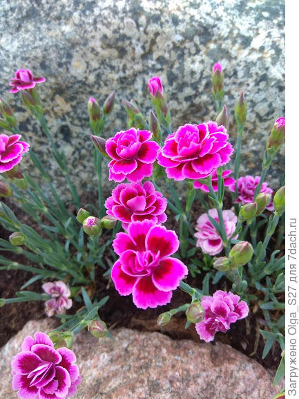 С днем рождения!