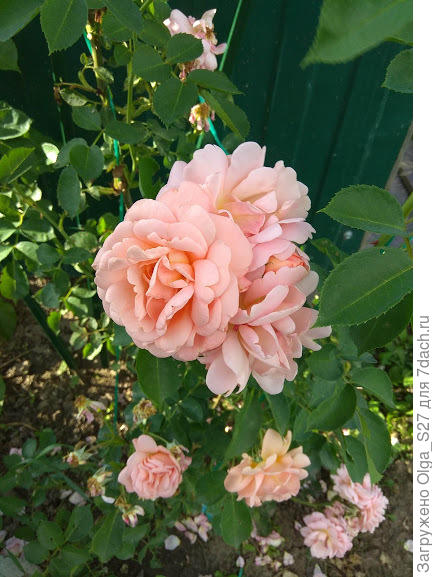 С днем рождения!