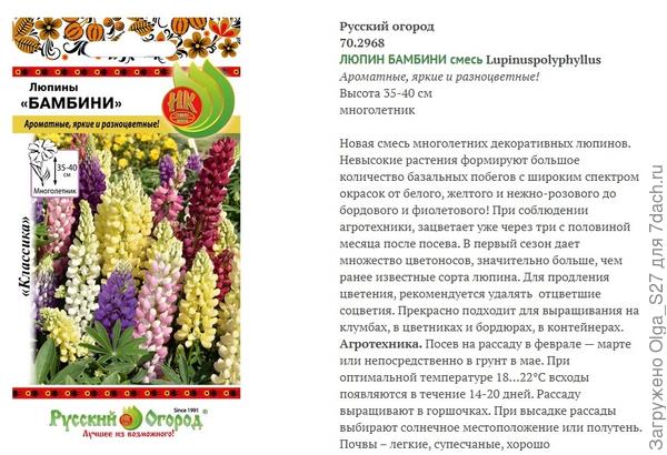 Фото и описание.