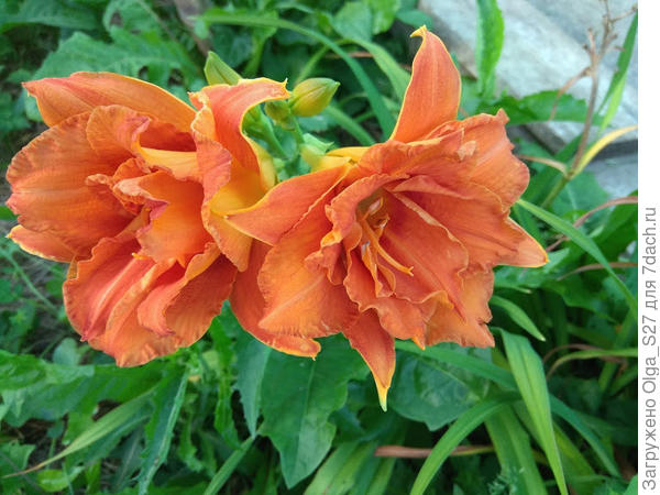 С днем рождения! Ура!