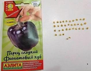 Перец Фиолетовый куб
