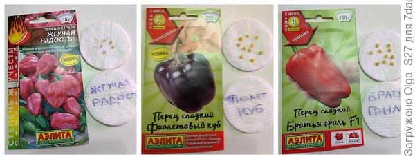 Семена отобраны. Приступаем!