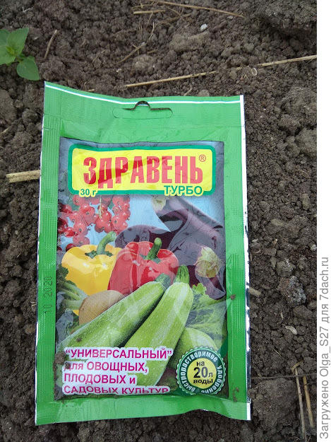 Здравень