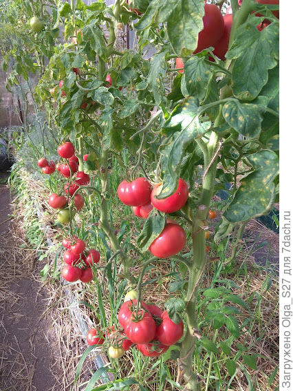 Конец августа.