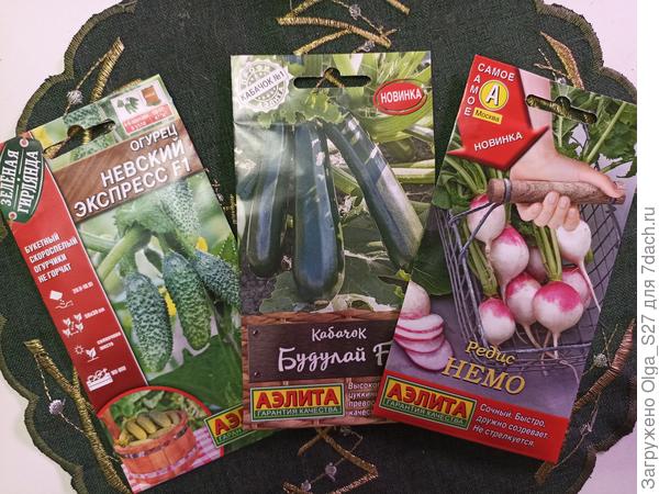 Они станут хитом сезона 2022