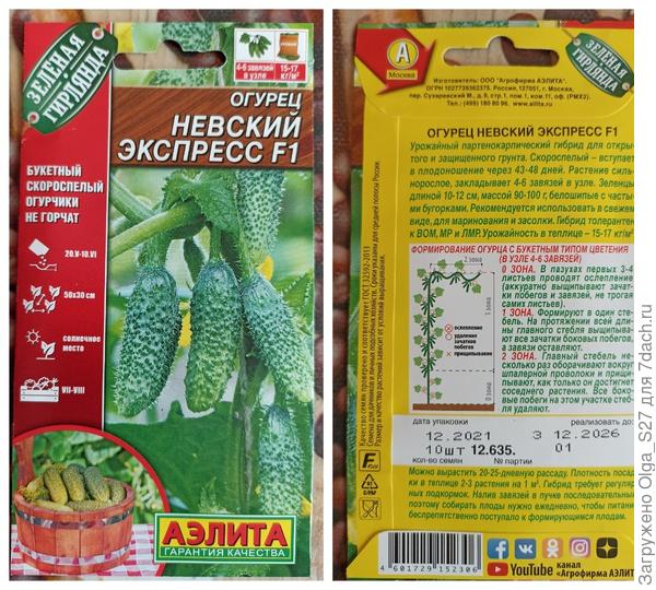 Пакетик