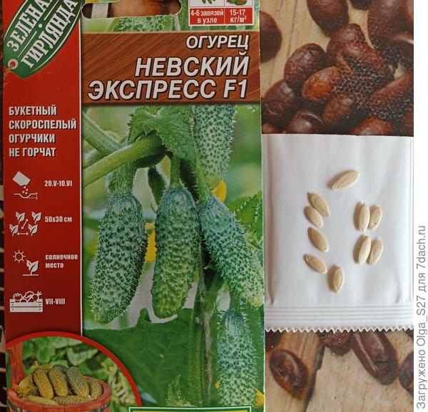 Семена