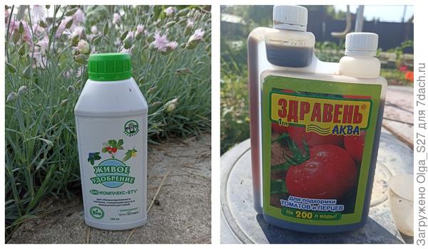 Мои помощники.