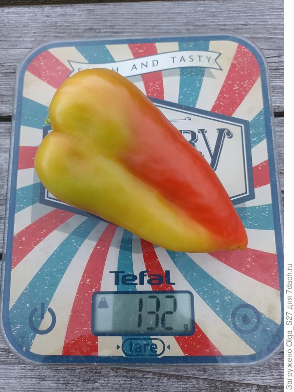 Самый крупный перец Дружные ребята