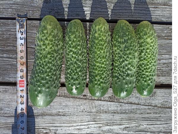 Размер соответствует заявленному производителем