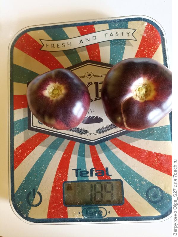 А были и такие малыши