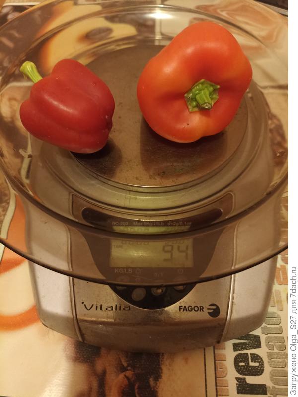 А были совсем малыши.