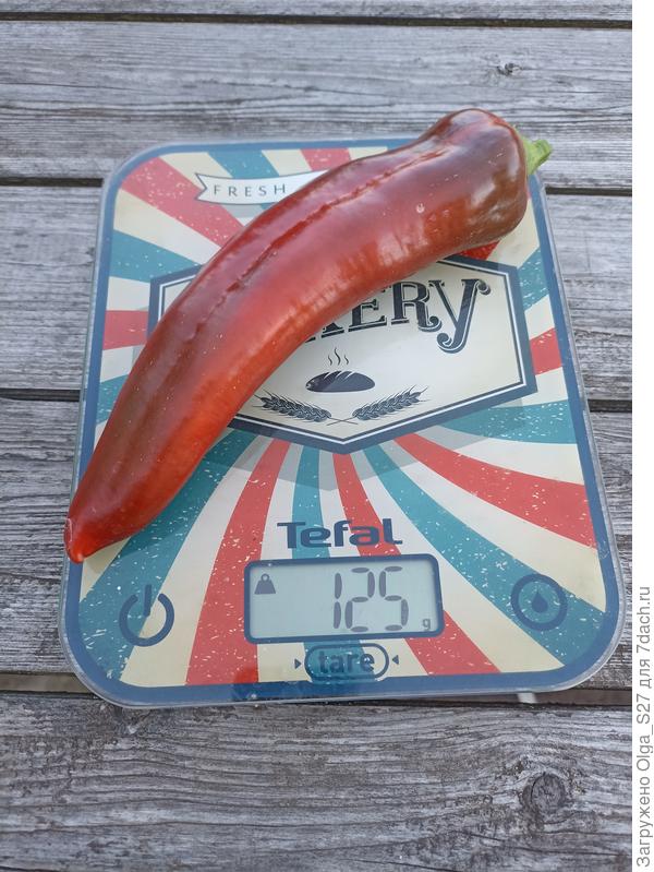 Были и крупные экземпляры