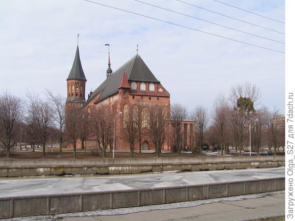 Кафедральный собор в Калининграде