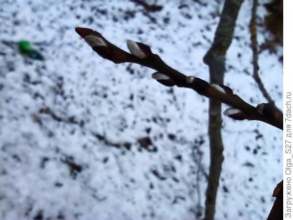 13 января 2025