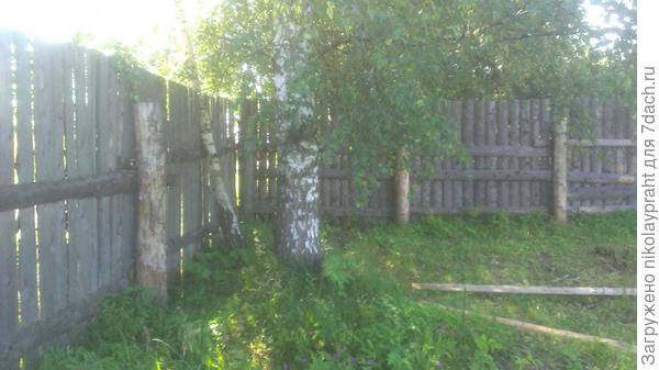 Все фото сделаны в 9 утра. До второго столба будет поставлена беседка.