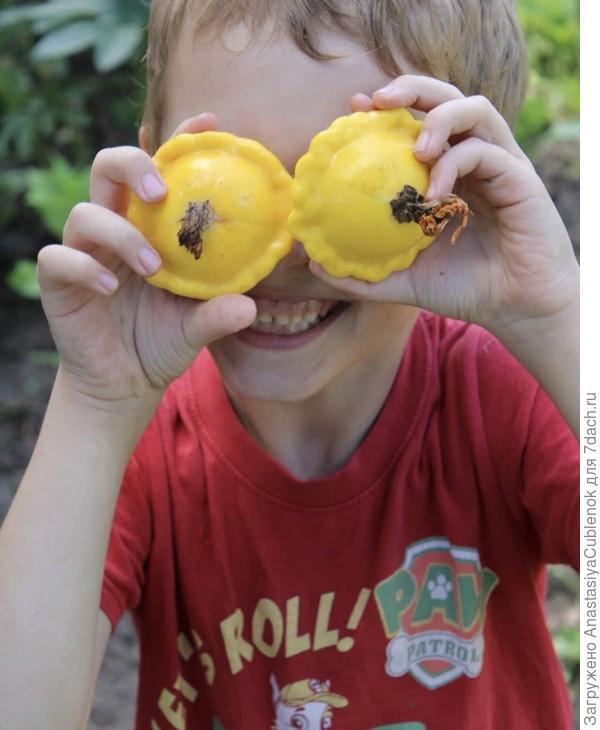 Патиссончики