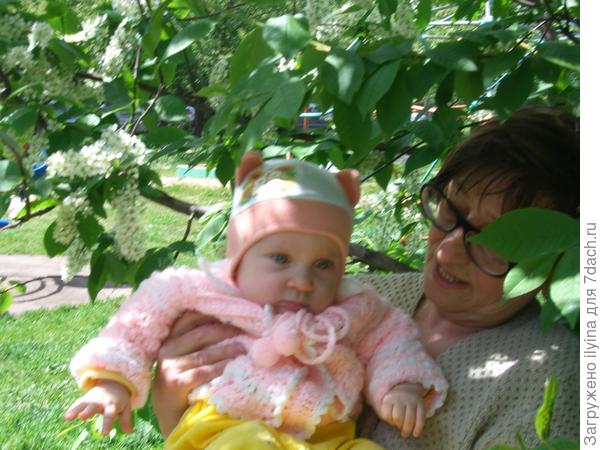 Когда цветет черемуха...