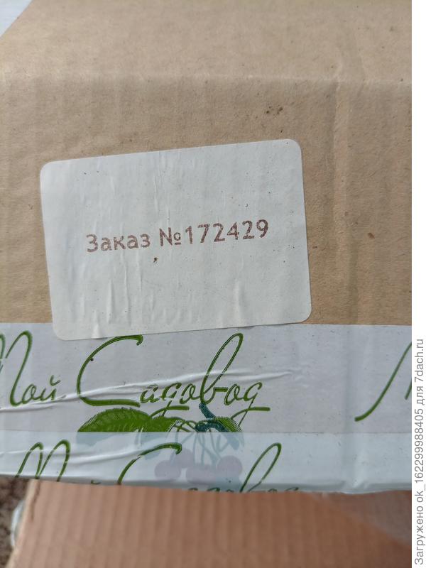 запись отправили в черновики, модераторы не верят своим подписчикам?