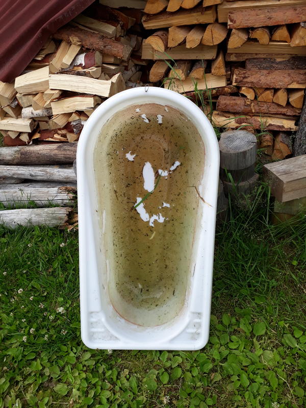 Старая ванна